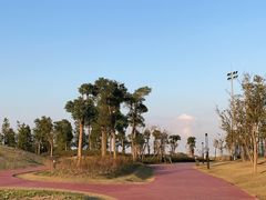 -春花秋色城市公园