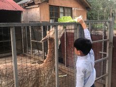 -意大利农场度假村