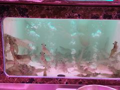 -长平肥姐白粥·海鲜打冷