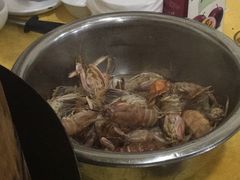 -蚝专家(北滘店)