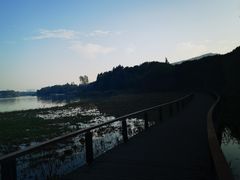 -长广溪湿地公园