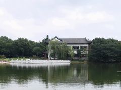 -范蠡湖公园