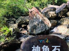 -呀诺达热带雨林