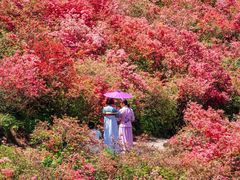 -木兰云雾山
