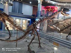 -国家自然博物馆