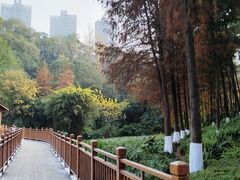 -重庆彩云湖湿地公园