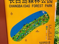 -长白岛森林公园