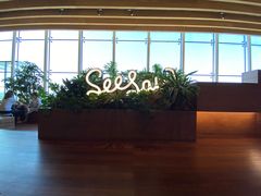 -Seesaw Coffee(朝阳大悦城店)