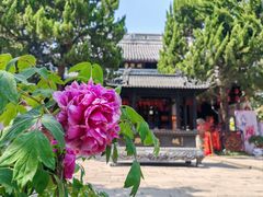 -秋霞圃
