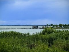 -合肥滨湖国家森林公园