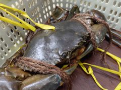 -龙海鲜螃蟹王(宏茂桥店)