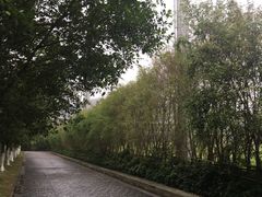 -李宁体育园