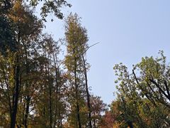 -荔湾湖公园