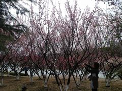 -白塘生态植物园