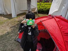 -上海长兴岛郊野公园