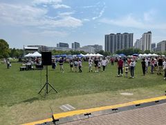 -上海惠灵顿外籍人员子女学校