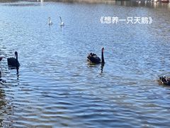 -石家庄市动物园