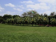 -东风公园