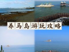 -养马岛旅游度假区