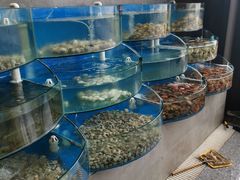 -蓝珊甄选海鲜自助·火锅大排档(近阿那亚店)