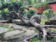 -成都武侯祠博物馆