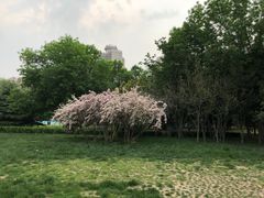 -方庄体育公园
