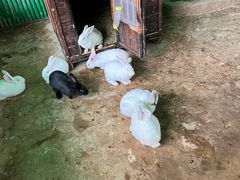 -杭州野生动物世界