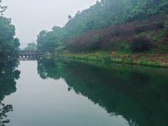 -桃花岭景区