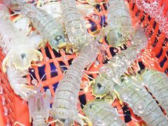 -79号渔船海鲜饭店(华强北店)