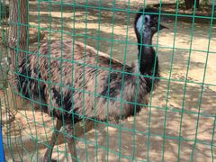 -武汉紫薇都市田园