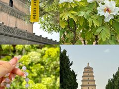 -大慈恩寺(大雁塔)