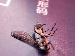 -少华山国家森林公园