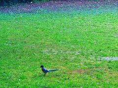 -苏州河梦清园环保主题公园