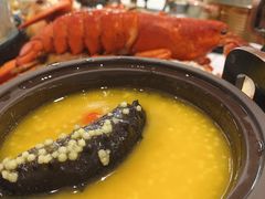 海参-半岛听涛蒸汽海鲜自助(K11店)