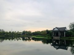 -映月湖公园