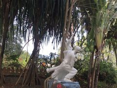 -瑞丽独树成林风景区