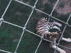 -西霞口神雕山野生动物世界