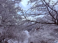 -崂山巨峰游览区