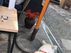 -云里小坐·小院里·团建·宴请·下午茶(三圣乡店)