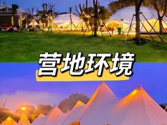 -栖露营camping·天幕烧烤·团建拓展·采摘营地