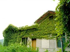 -石燕湖生态旅游景区