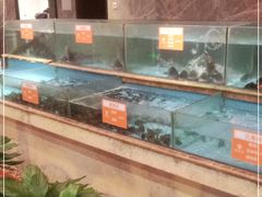 水产区-饭怕鱼(阳光100店)