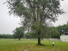 -北京群众马术培训基地