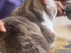 -平行世界·猫咖(首经贸店)