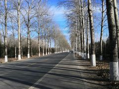 -东郊湿地公园