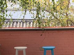 -喵屿·大理花园猫咖