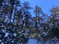 -瓦屋山景区