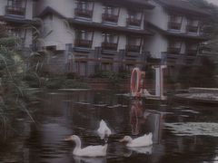 -YUNHE秐合· 雅致浙宴(西溪店)