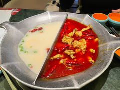 鸳鸯锅-麻田会 ·鲜活现烹·牛蛙火锅(珠江新城维家思广场店)