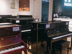 -柏斯音乐艺术中心·钢琴·吉他(世纪金源店)